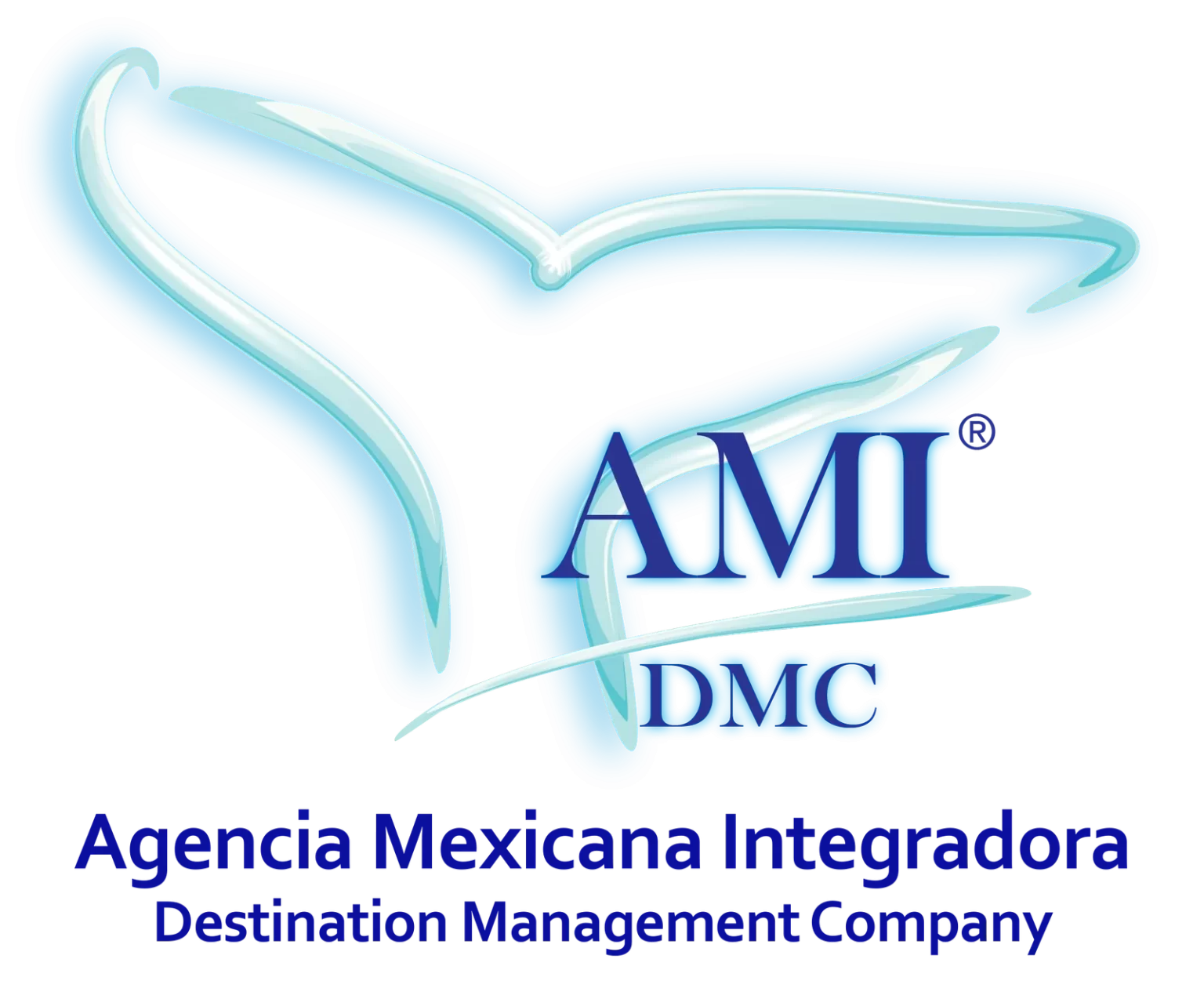 Logo AMI DMC
