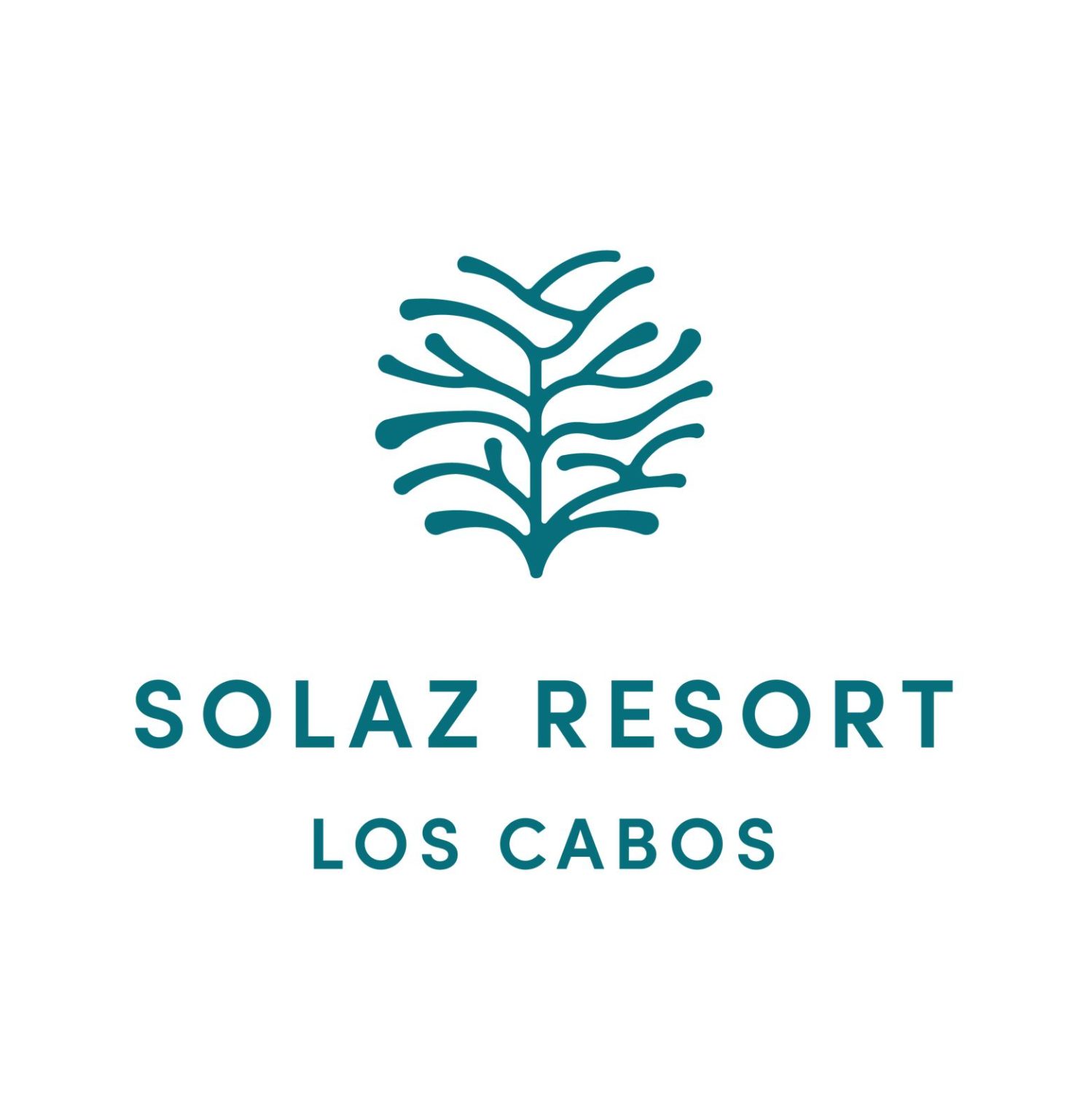 logo-Solaz